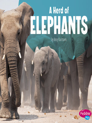 cover image of A Herd of Elephants